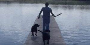 Quand ma requête SQL ne retourne rien