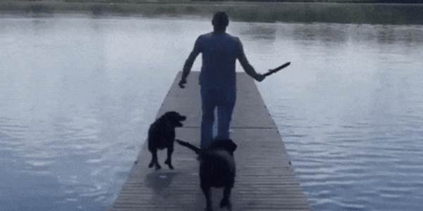 Quand ma requête SQL ne retourne rien