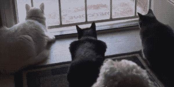 Quand le chef nous surprend à glander