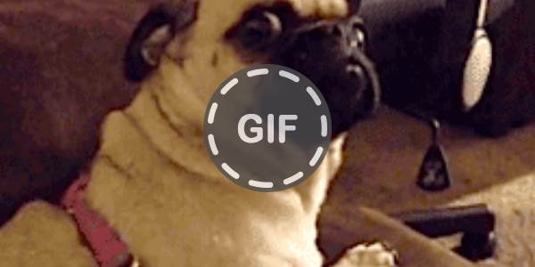 Quand j'entends qu'on parle en mal de ma techno préférée