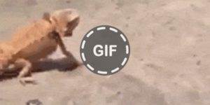 Quand le chef vient me voir pour une urgence le vendredi soir