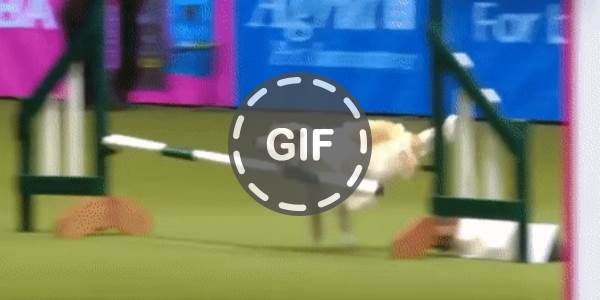 Quand je pense maîtriser un framework