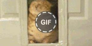 Quand l'admin réseau bloque le port 22 de la VM