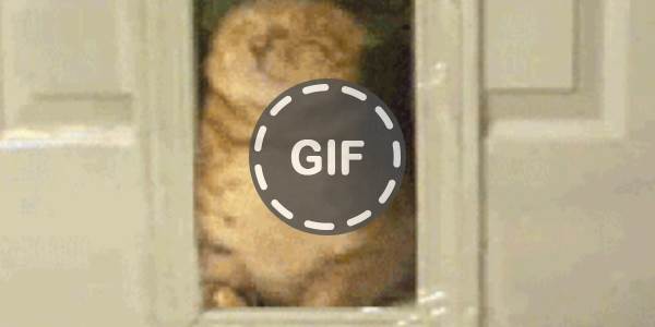 Quand l'admin réseau bloque le port 22 de la VM