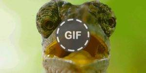 Quand j'essaie de trouver les différences entre deux fichiers