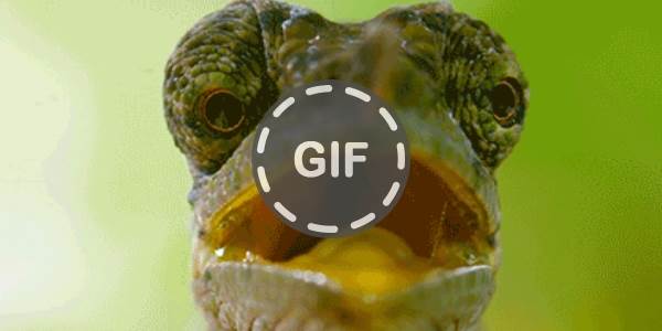 Quand j'essaie de trouver les différences entre deux fichiers