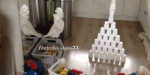 Quand le stagiaire me demande de tester la fonctionnalité qu'il vient de développer