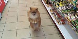 Quand je reprends un projet avec une énorme base de données