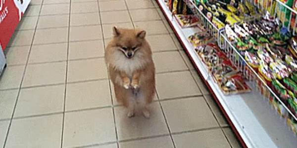 Quand je reprends un projet avec une énorme base de données