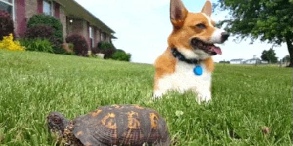 Quand je découvre comment du code historique fonctionne