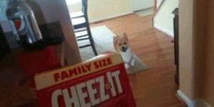 Quand le chef essaie de me lancer sur un projet legacy