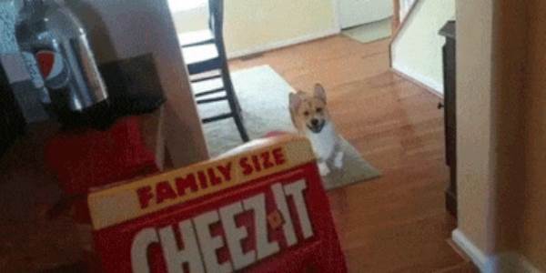 Quand le chef essaie de me lancer sur un projet legacy