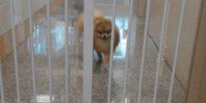 Quand le code est solide et que les specs sont pourries