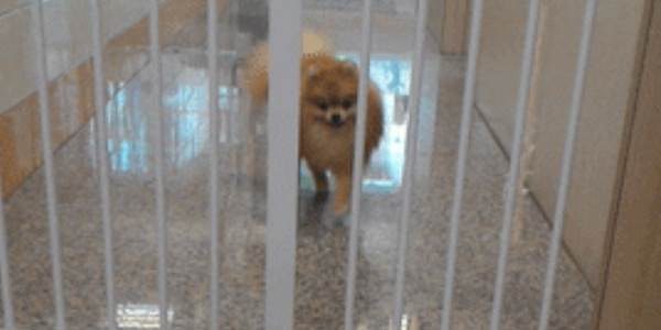 Quand le code est solide et que les specs sont pourries