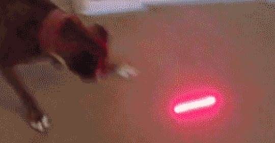 Quand je cherche à corriger un bug et que je découvre qu’il y en a beaucoup plus