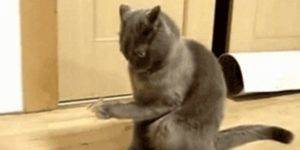 "Ah merde j'ai oublié de t'envoyer les specs qui ont été modifiées le mois dernier !"