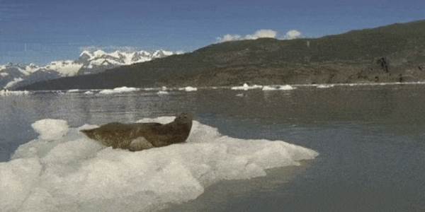 Quand le chef de projet me dit que je dois boucler toutes mes tâches en cours avant la fin de la journée