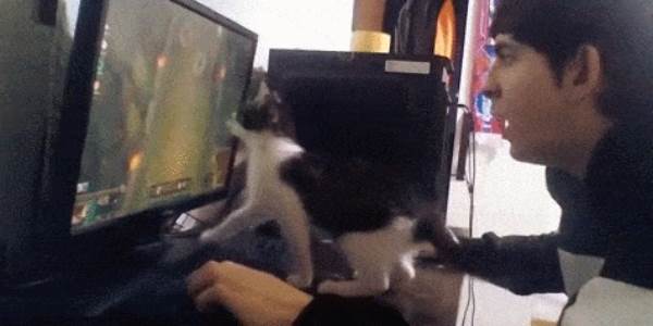 Quand le stagiaire essaie de m'apporter son aide pour une correction en prod