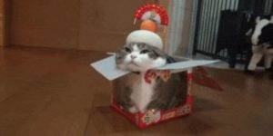 Quand le boss vient dans l'open space à la recherche d'un volontaire pour un passage en prod