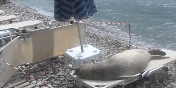 Quand je suis le premier arrivé au bureau lundi matin