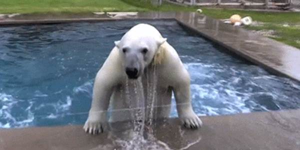 Quand je me rappelle que la deadline tombe cette semaine