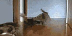 Quand on revient en urgence à la version précédente alors que les utilisateurs ont commencé à se connecter