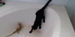 Quand je déploie en prod sans faire exprès