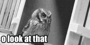 Quand je jette un œil à mon vieux code