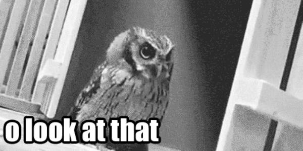 Quand je jette un œil à mon vieux code