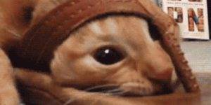 Quand je suis coincé sur un projet pourri