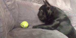 Quand le stagiaire essaie de débuguer