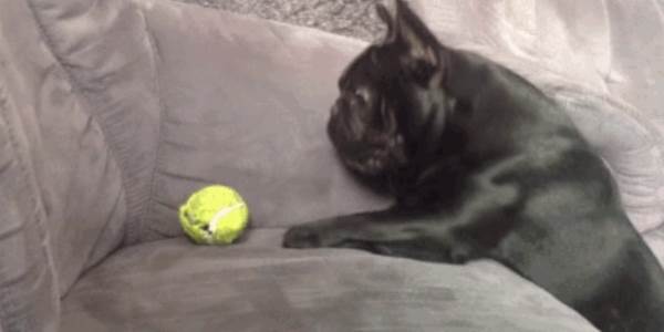 Quand le stagiaire essaie de débuguer