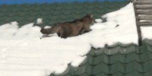 Quand je modifie un fichier en prod