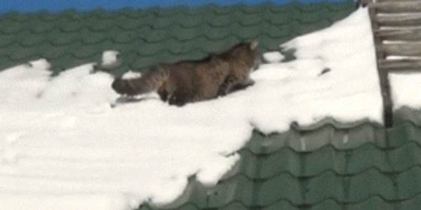 Quand je modifie un fichier en prod