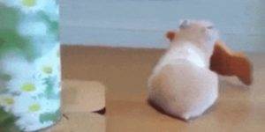 Quand le dev senior finit par prendre en charge mon ticket