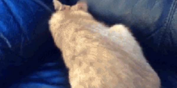 Quand le chef veut me refiler tous les bugs de mon collègue parti en vacances