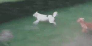 Quand j'essaie de suivre le lead dev dans ses explications