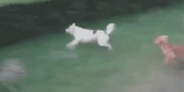 Quand j'essaie de suivre le lead dev dans ses explications