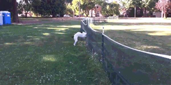 Quand mon code n'est pas bon mais que ça marche quand même