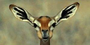 Quand j'attends la création du package de livraison