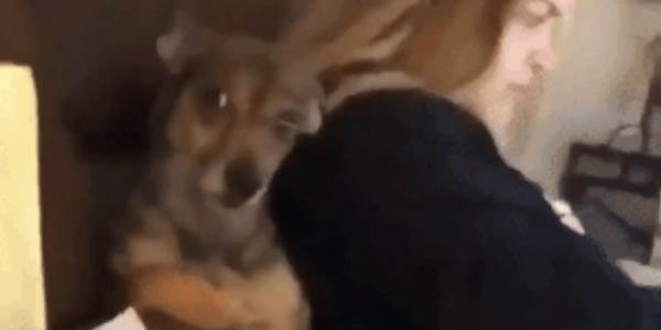 Quand pendant la démo le client ouvre le site avec Internet Explorer