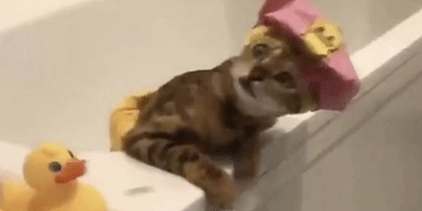 Quand je découvre l'état du projet à mon retour de vacances