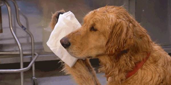 Quand je me suis trompé de serveur et que j'essaie de corriger mon erreur sans me faire griller