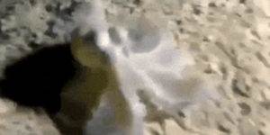 Quand j'apprends que le projet Angular va finalement être un projet Symfony