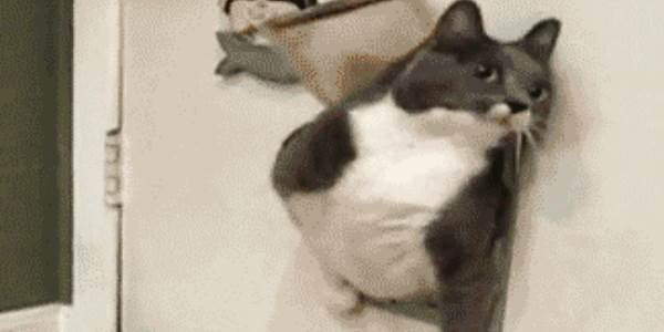 Quand je reviens au bureau après un buffet à volonté