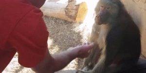 Quand je montre au stagiaire comment corriger son bug