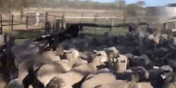 Quand je quitte le bureau vendredi soir après une journée de debug bien pourrie