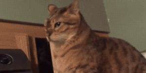 Quand le binôme m'interrompt alors que je suis en pleine réflexion