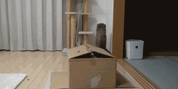 Quand l'équipe cherche le responsable d'un bug majeur en production