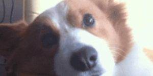 Quand je suis en réunion et que tout à coup quelqu'un demande mon avis